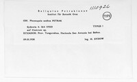 Image of Phomopsis andina